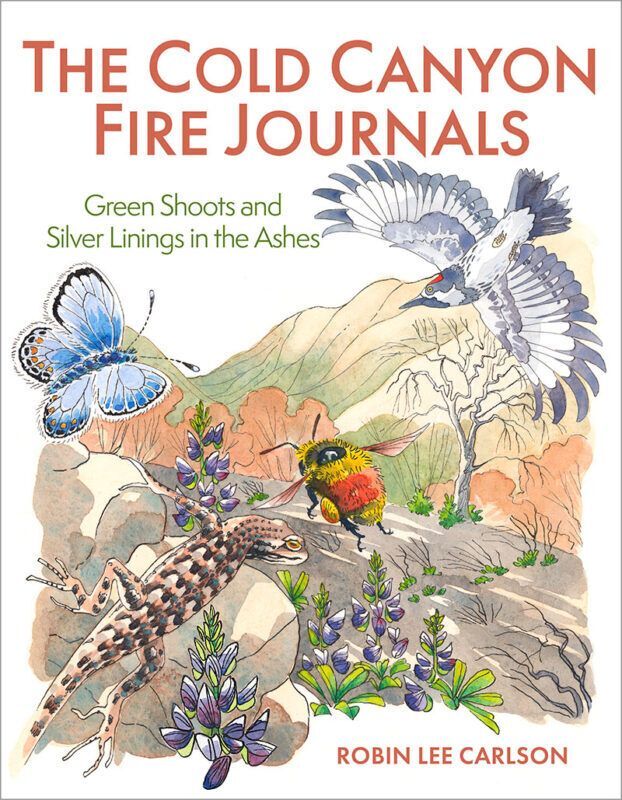 Wildfire–friend and foe–explored in new Cold Canyon Fire Journals