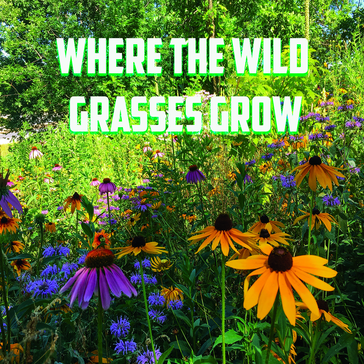 Interstate 80 & The Mississippi River Where the Wild Grasses Grow
