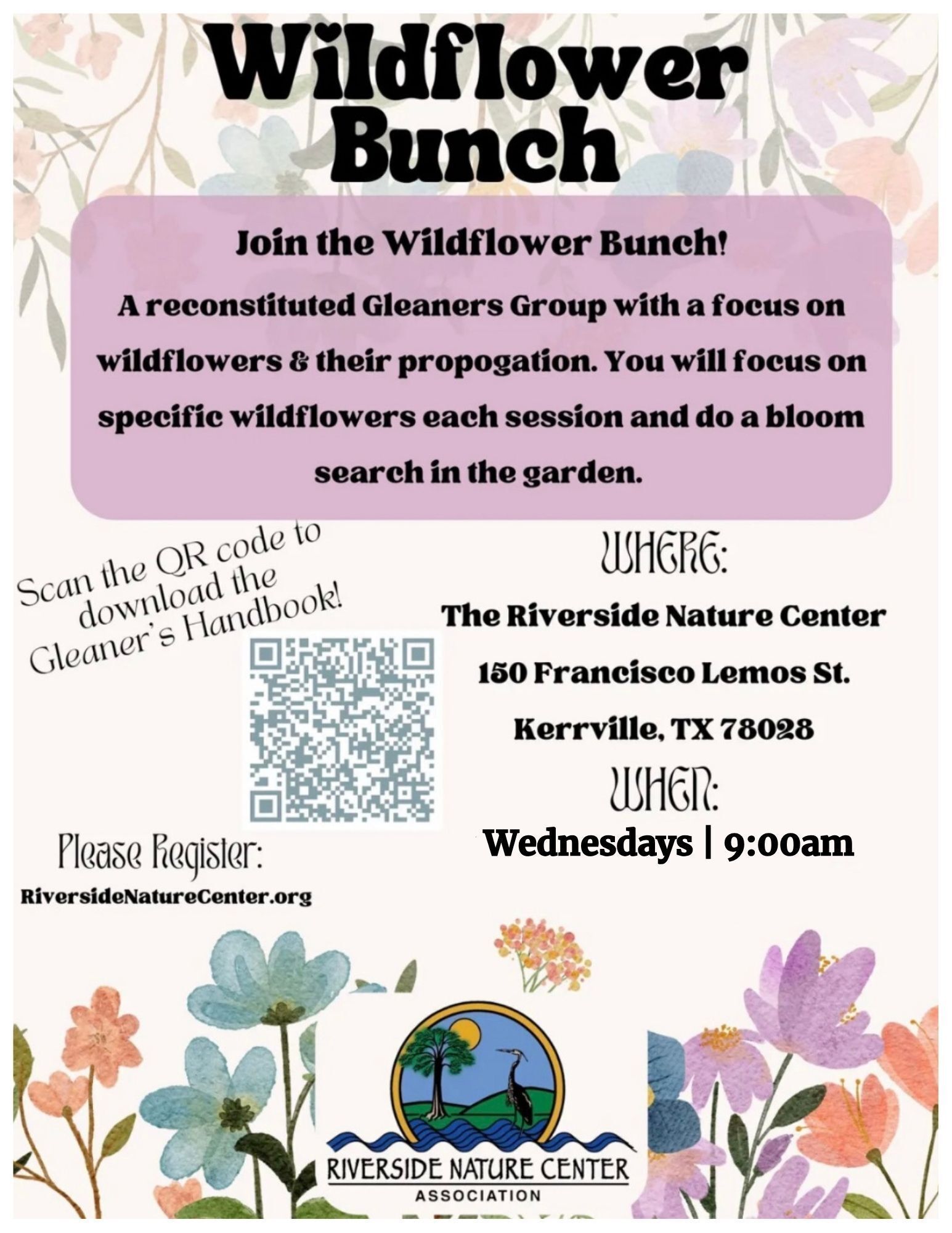 Wildflower bunch, Riverside Nature Center, Kerrville, TX, seeds, gleaning 