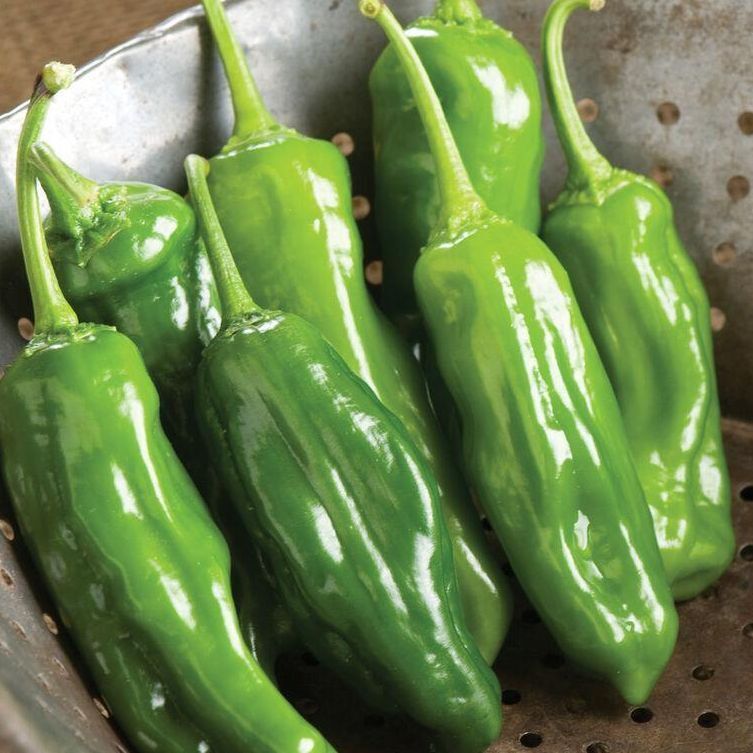 Shishito Peppers