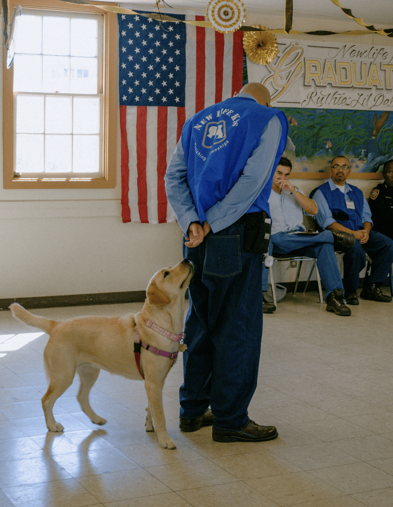 View Dogs at the New Life K9s Facility in San Luis Obispo