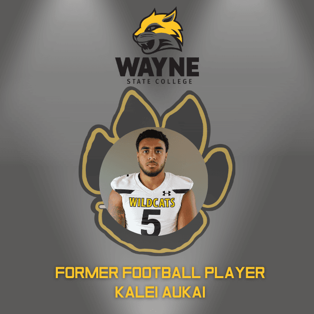 Wayne state althetics