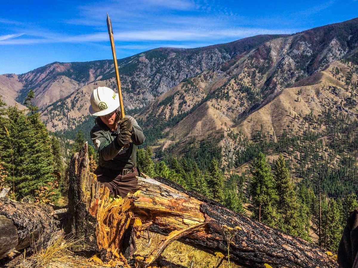 [Image Description: An MCC Member seen swinging an axe into a snag, with picturesque gulches of the mountains behind them.]
