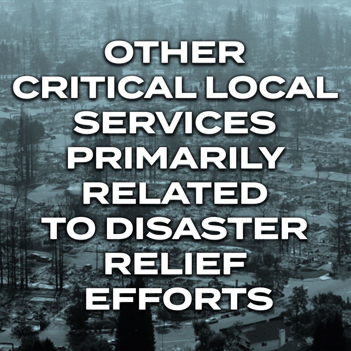 Other Critical Local Services