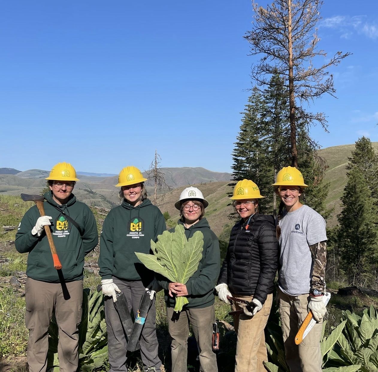 A crew stands smiling against a mountain view