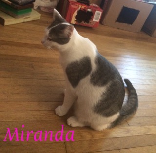 Miranda