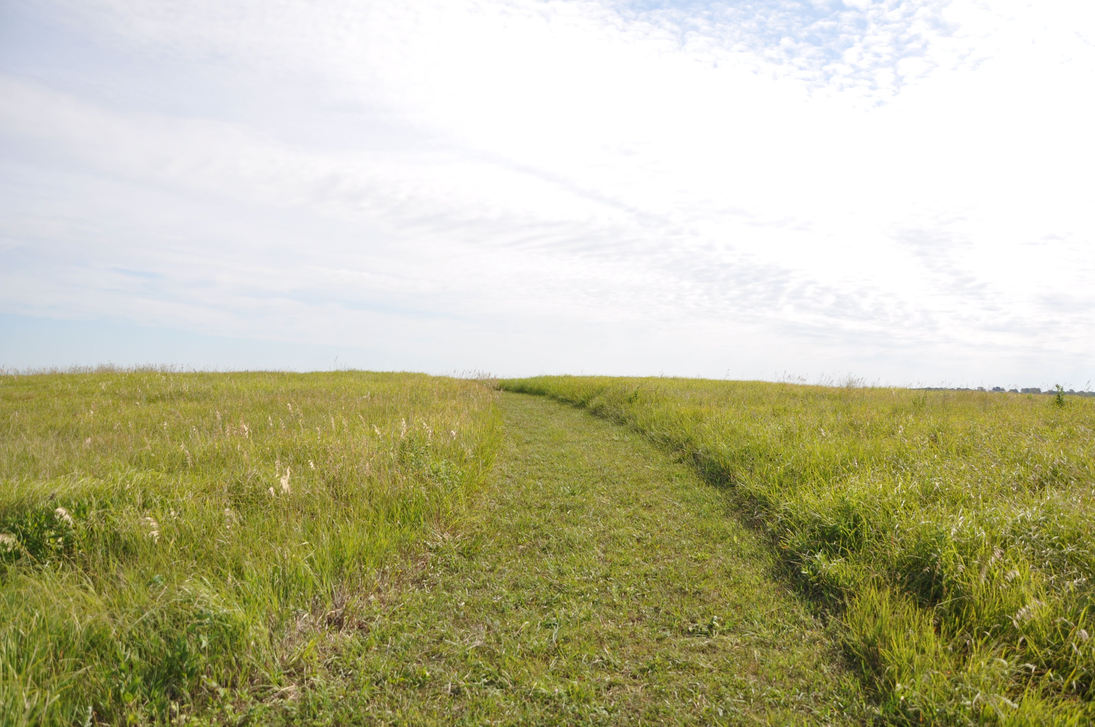 Home Cornerstone Endodontics