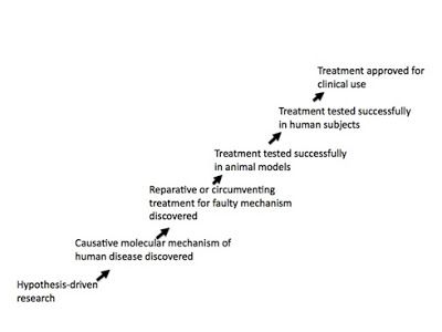 Image of disease treatment pathway: Hypothesis-driven research>Causative molecular mechanism of human disease discovered>Reparative or circumventing treatment for faulty mechanism discovered>Treatment tested successfully in animal models>Treatment tested 