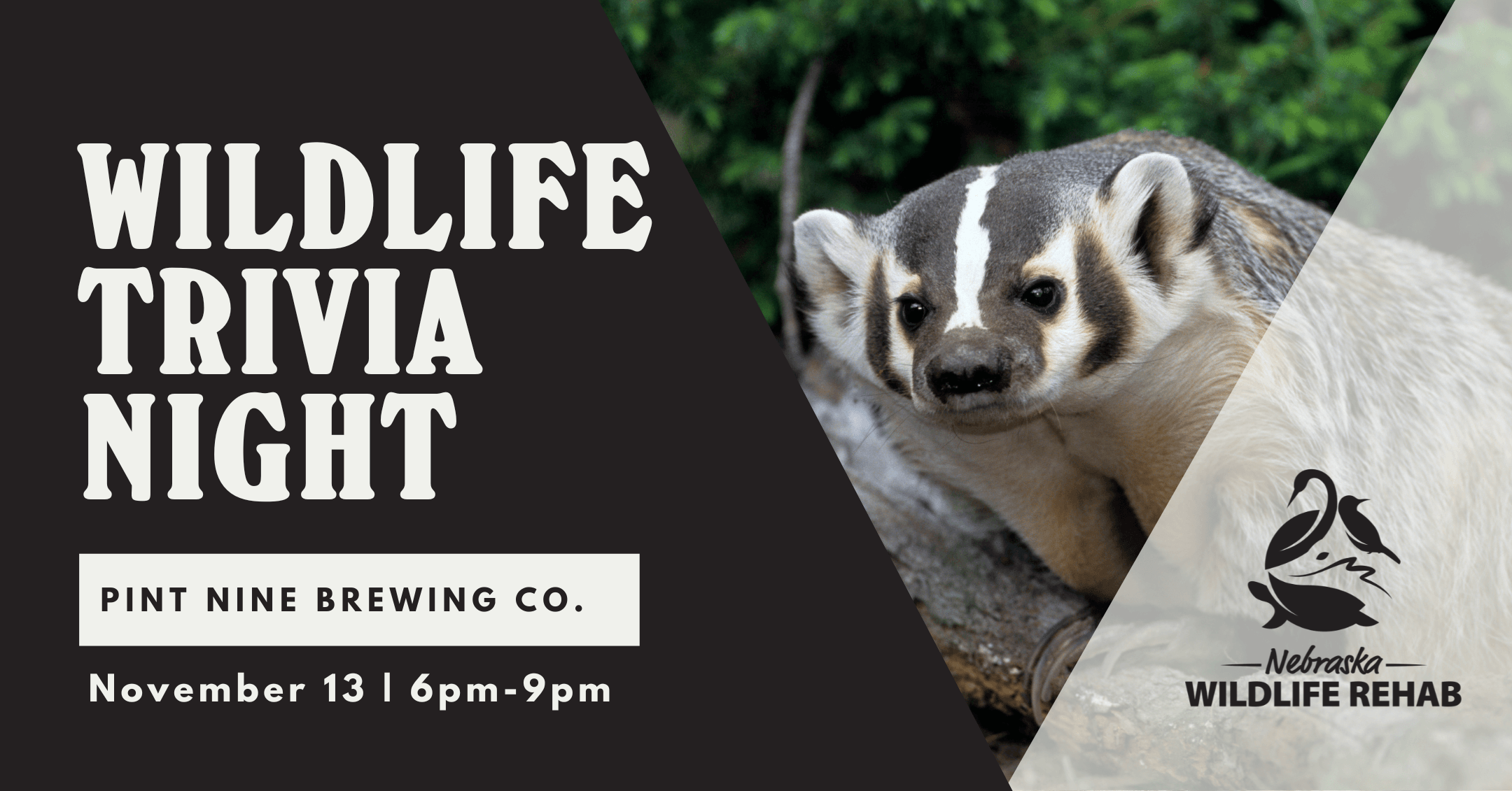 Wildlife Trivia Night at Pint Nine Brewing Co.