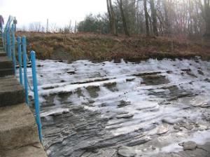 Daily Prayer February 15