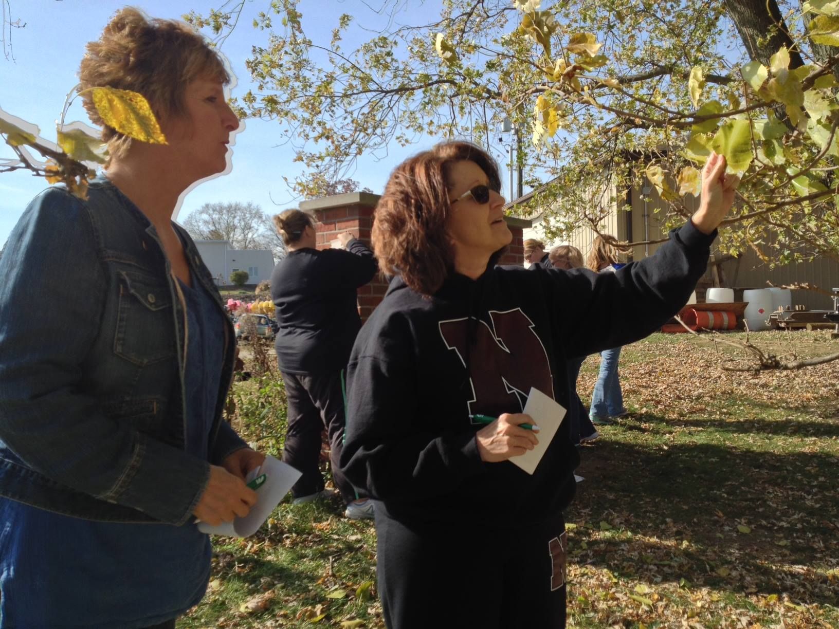 Educator Workshops