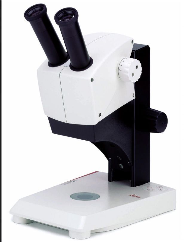 Dissecting Microscope