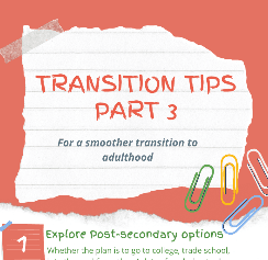 Transition Tips Part 3