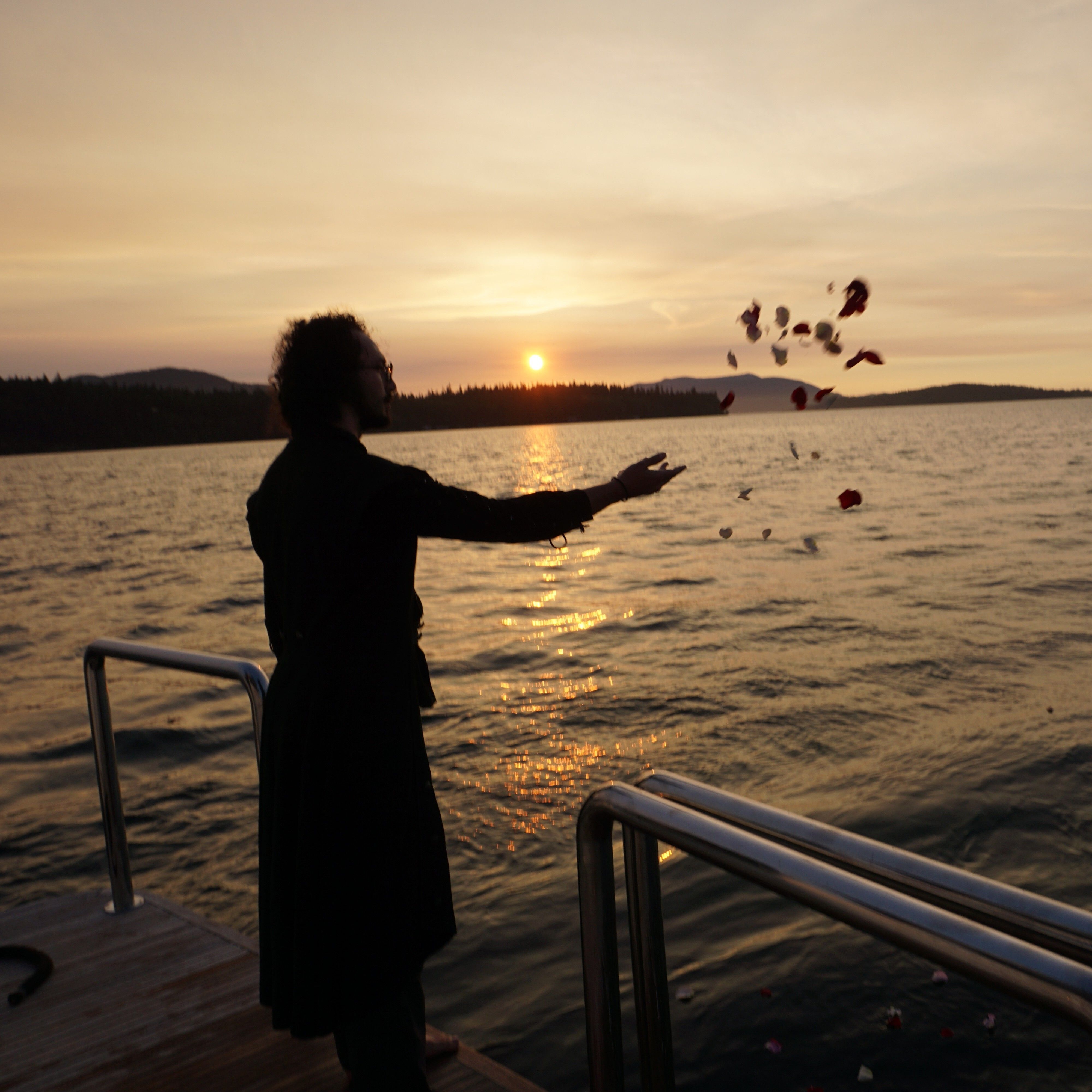 A bare shrub in the foreground with a sunset in the background.