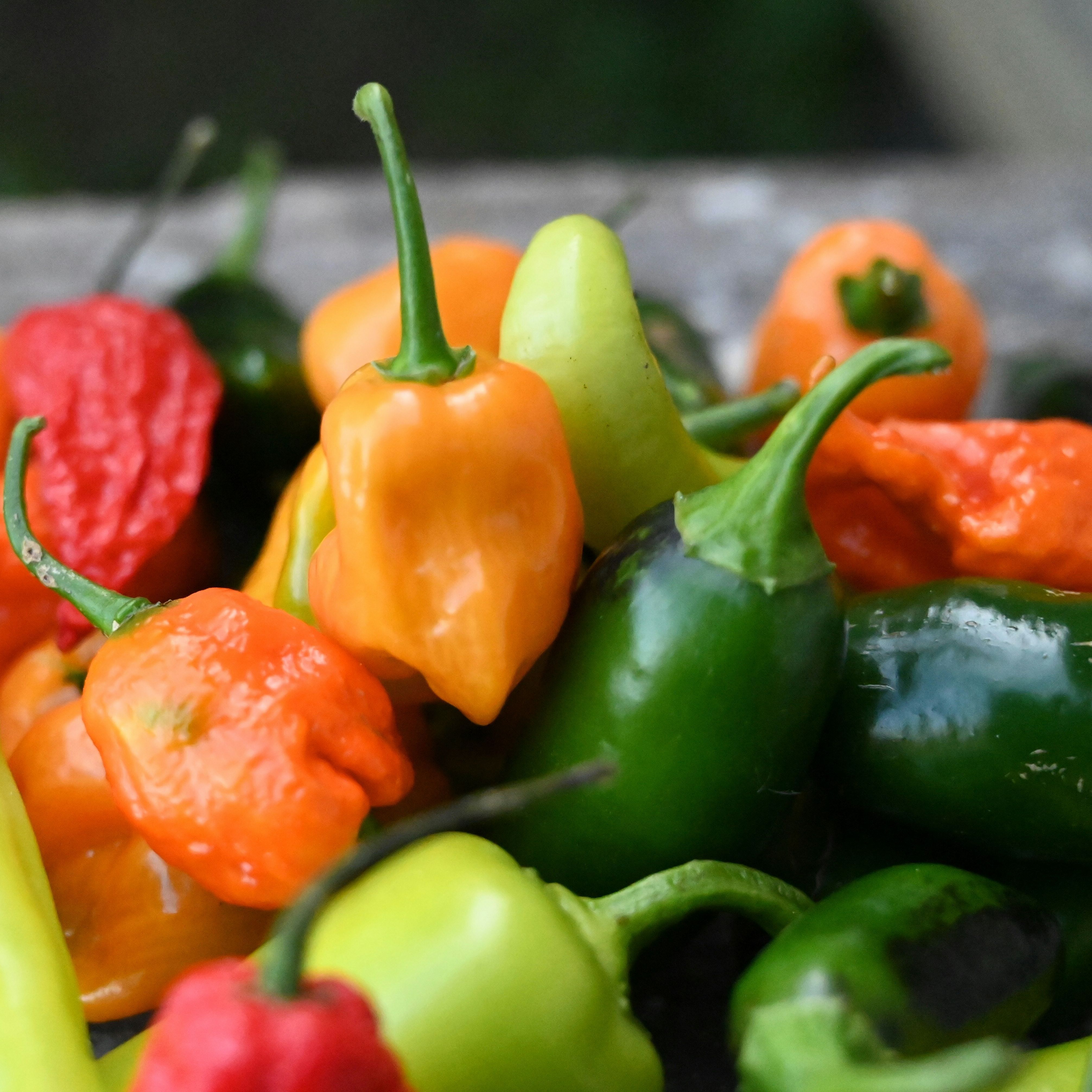 Hot Peppers