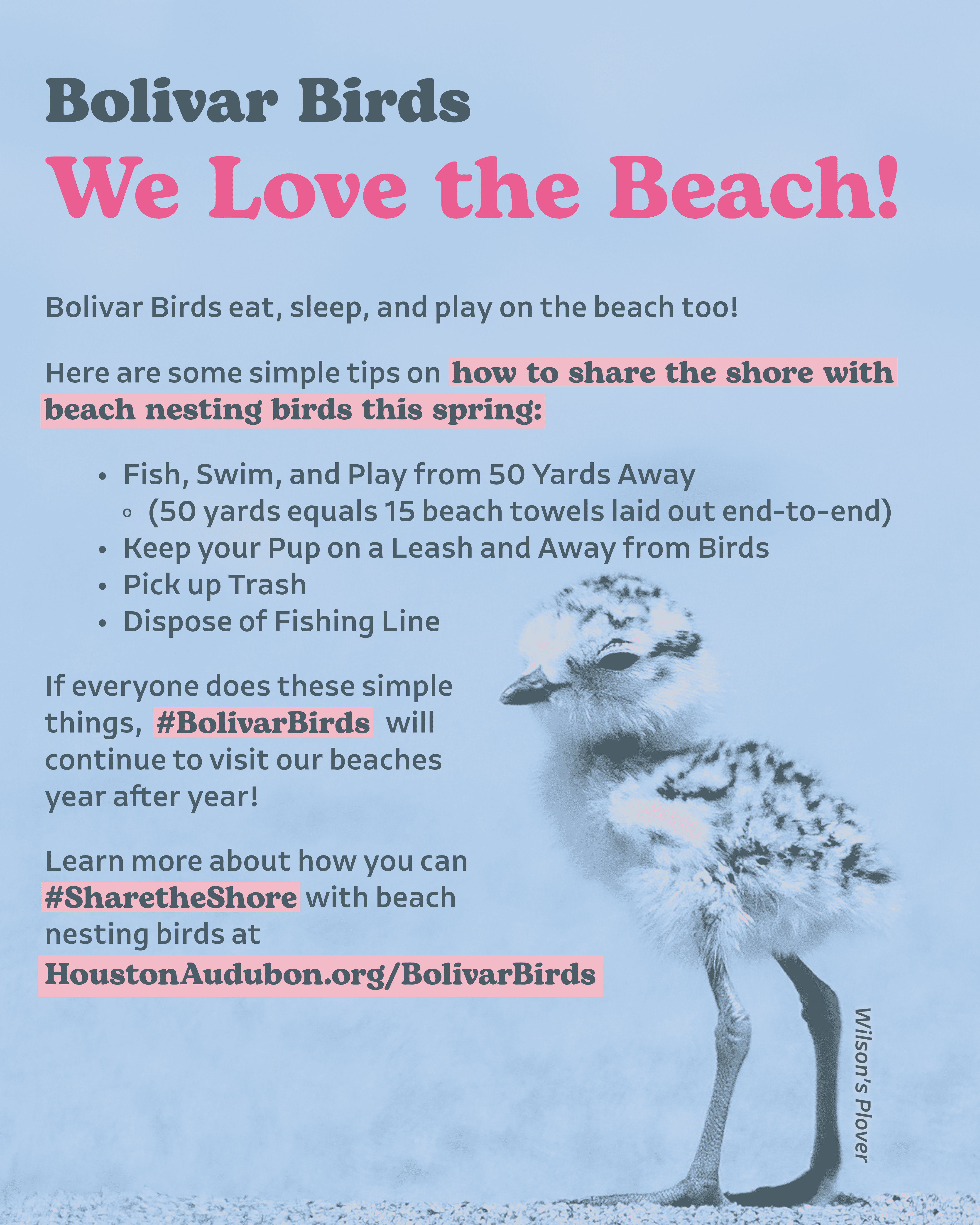 Downloadable Flyers (4 versions)