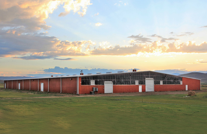 Montana Western Ranked among the Best Equestrian Programs Nationwide