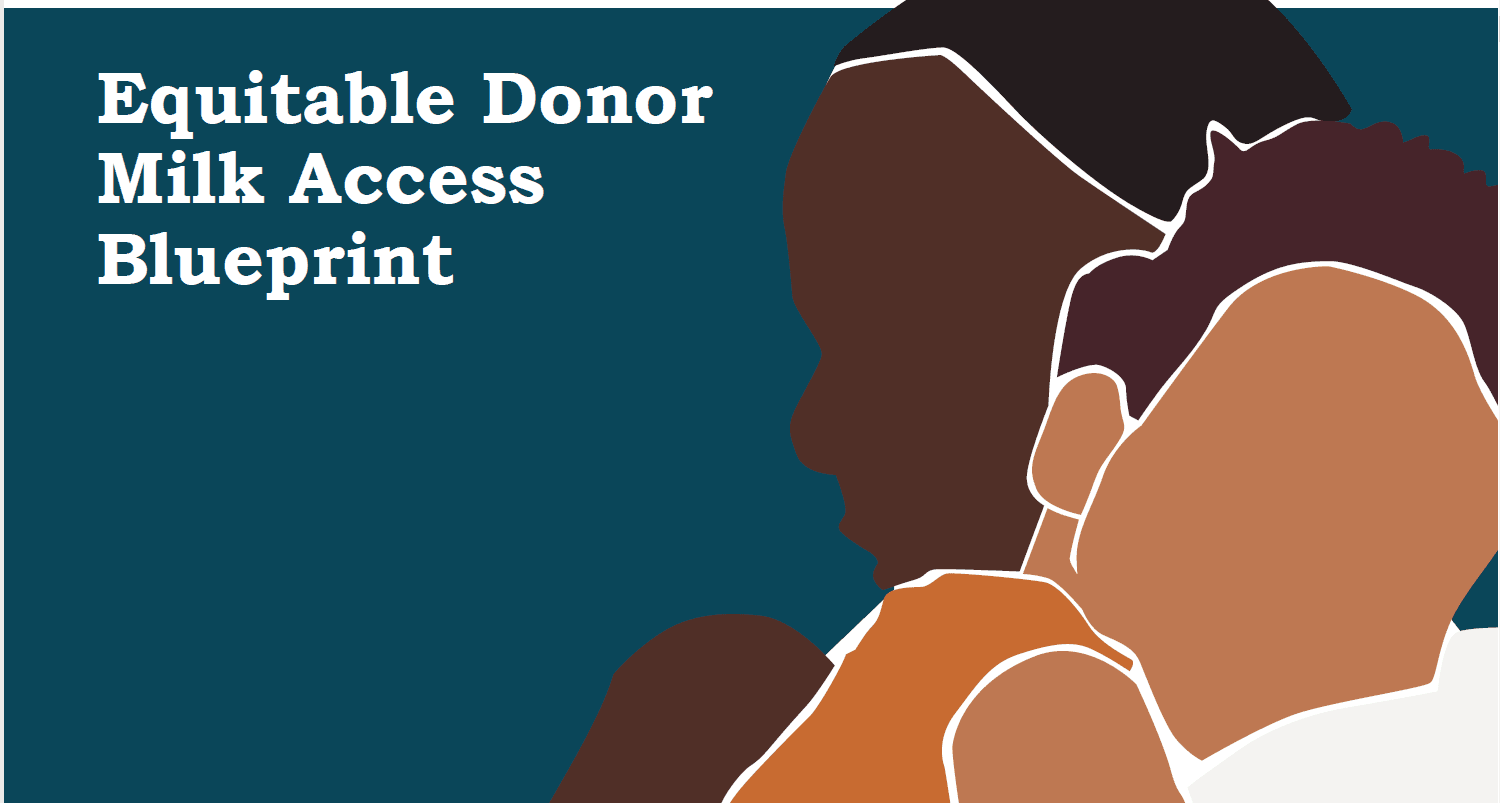 Equitable Access to Donor Milk Blueprint