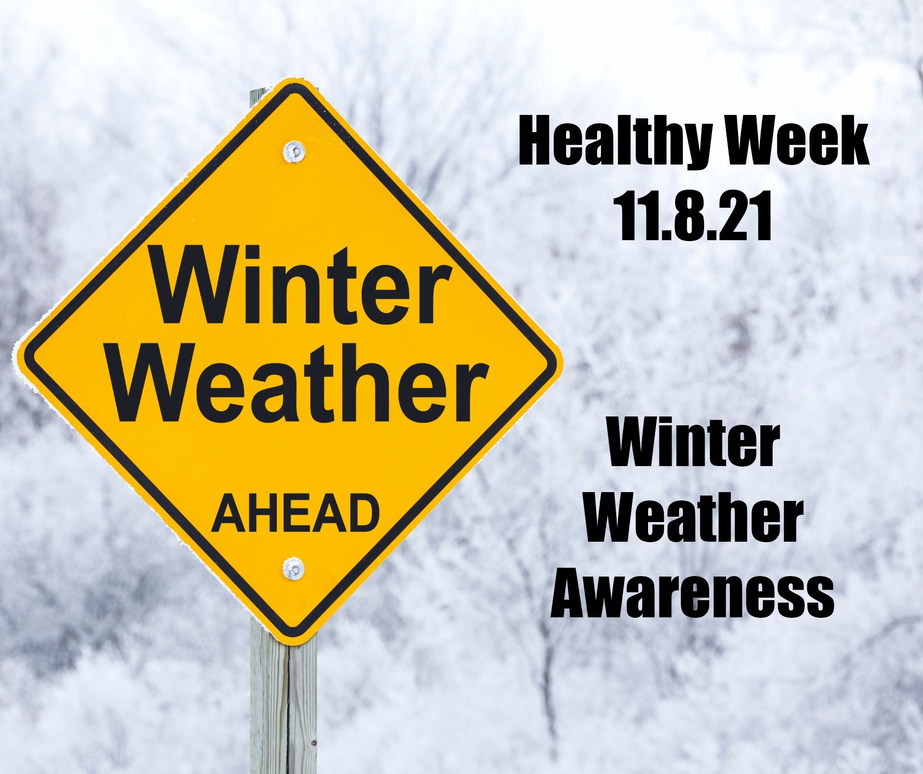Nov. 8 - Winter Weather