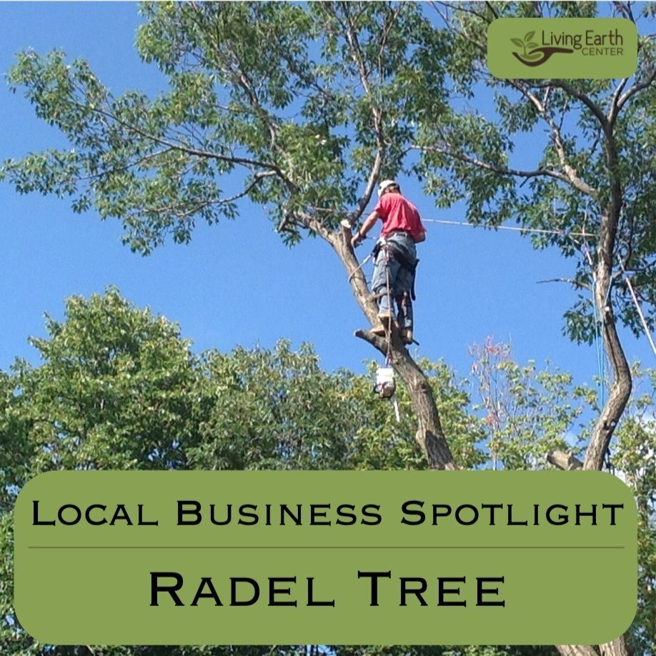 Local Business Spotlight - Radel Tree Services