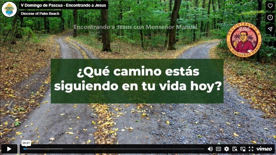 V Domingo de Pascua - Encontrando a Jesus