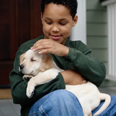 Boy Holding Puppy