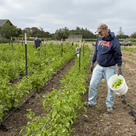 Farm to Fight Hunger