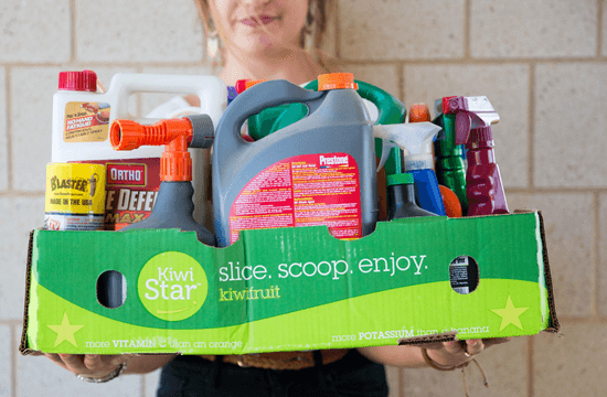 a woman holds a box of household hazardous waste containers such as cleaners and chemicals