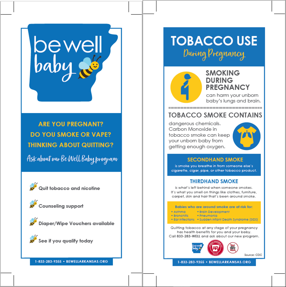 Be Well Baby - Know the Facts Panel Cards