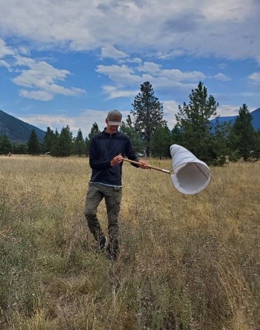 Evaluating Biocontrol: What Happens to Biocontrol Agents After Release?