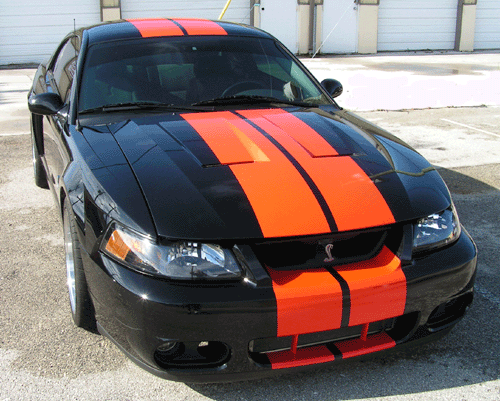 04 Ford Mustang Cobra