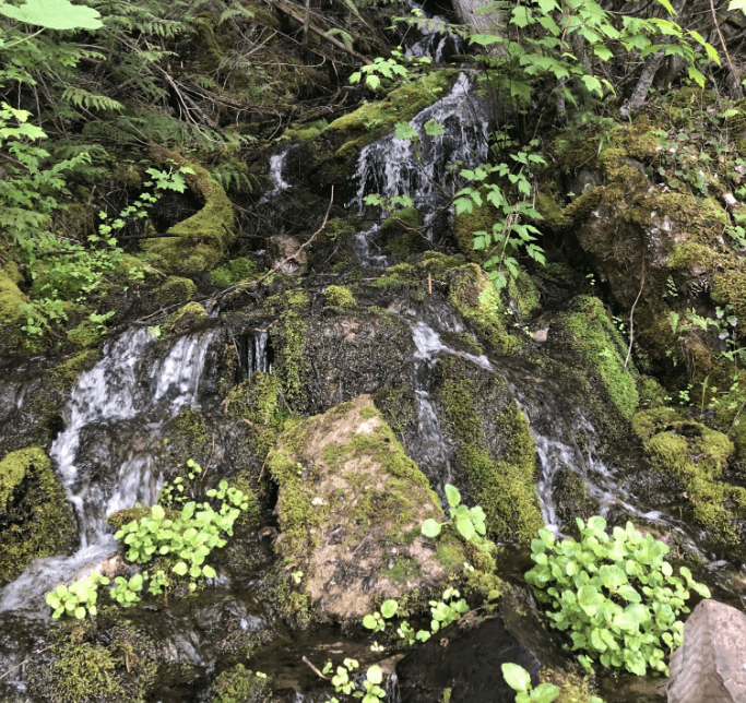 A small water fall with moss