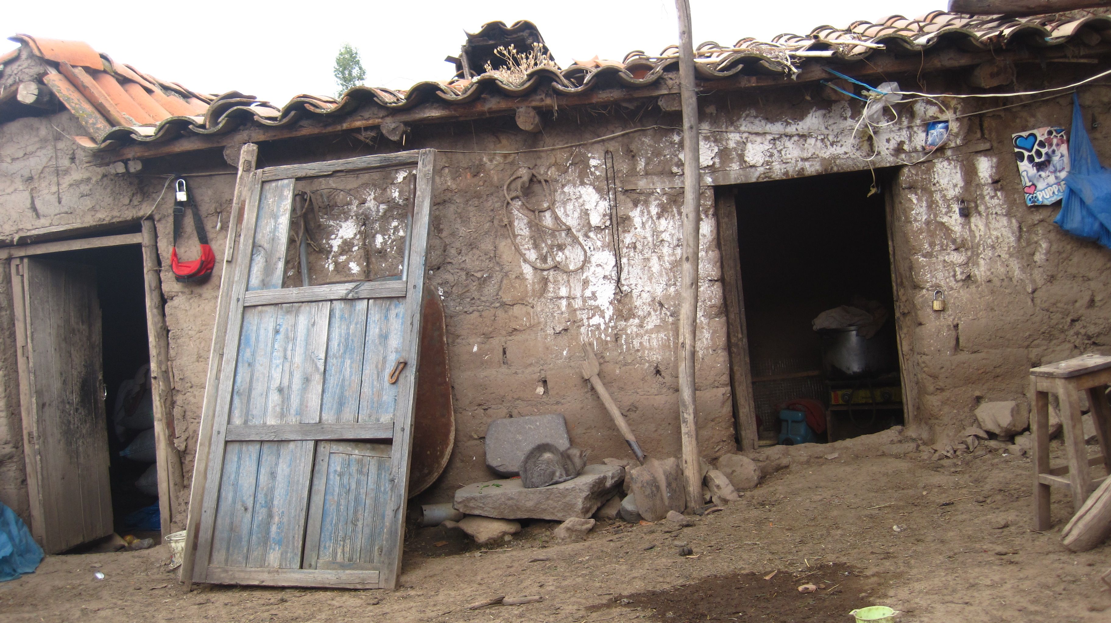 Hut in Pomacanchi (Peru)
