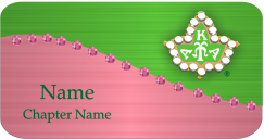 Two Tone 20 Pearls Bling Name Badge