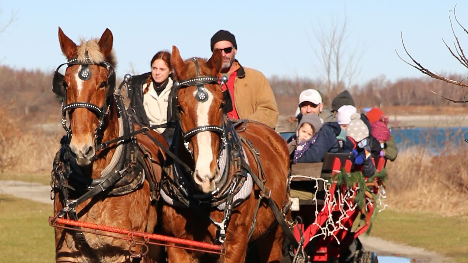 Holiday Festival Featuring Sleigh Rides through Webb State Park
