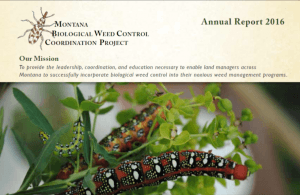 2016 Annual Report