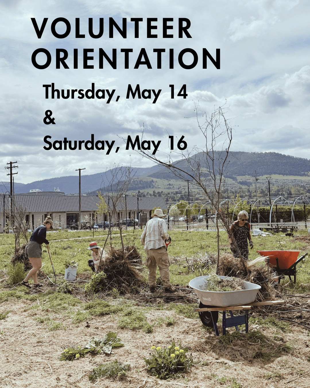 Volunteer orientation details