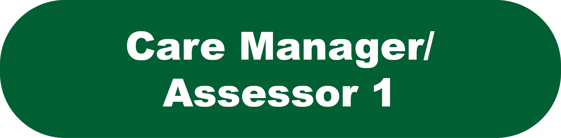 Care Manager/Assessor 1