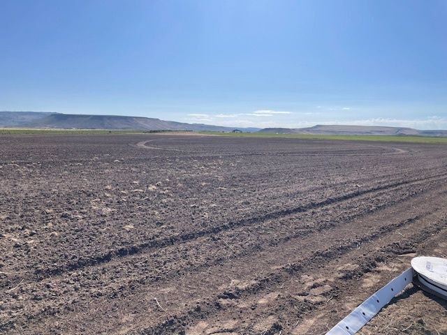 Local Food is Taking Root in Harney County