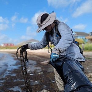 Beach Cleanups on the Bolivar Peninsula