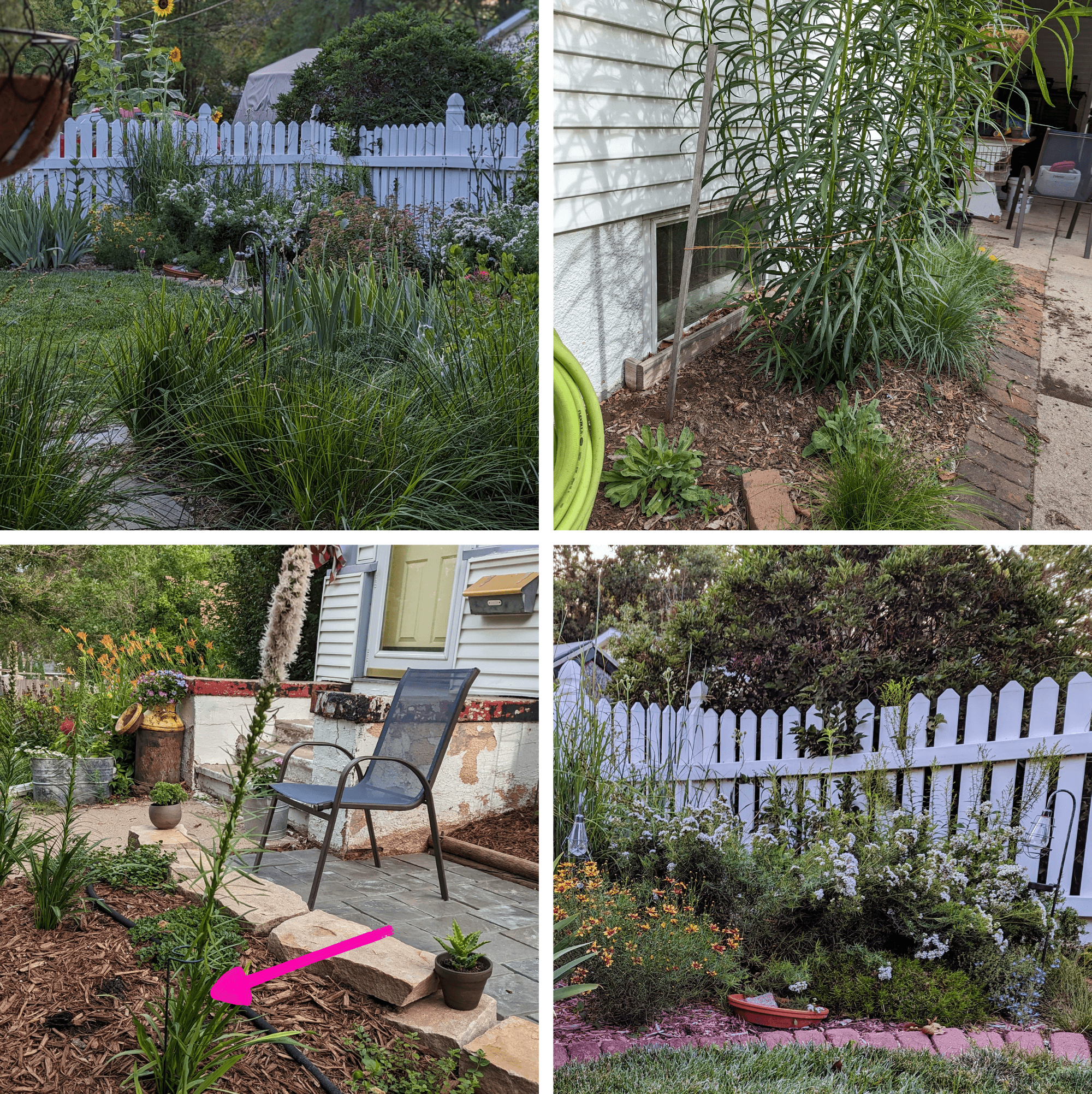 Photos clockwise from top left: these sedges were flopping with nothing in the middle until I cut them back- now they are filling in nicely; twine is a low profile and biodegradable way to support floppy plants; metal plant supports can blend in well; the