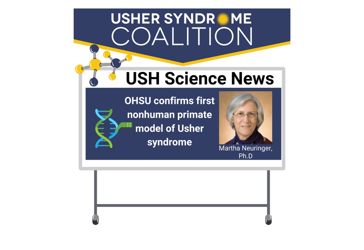 OHSU confirms first nonhuman primate model of Usher syndrome