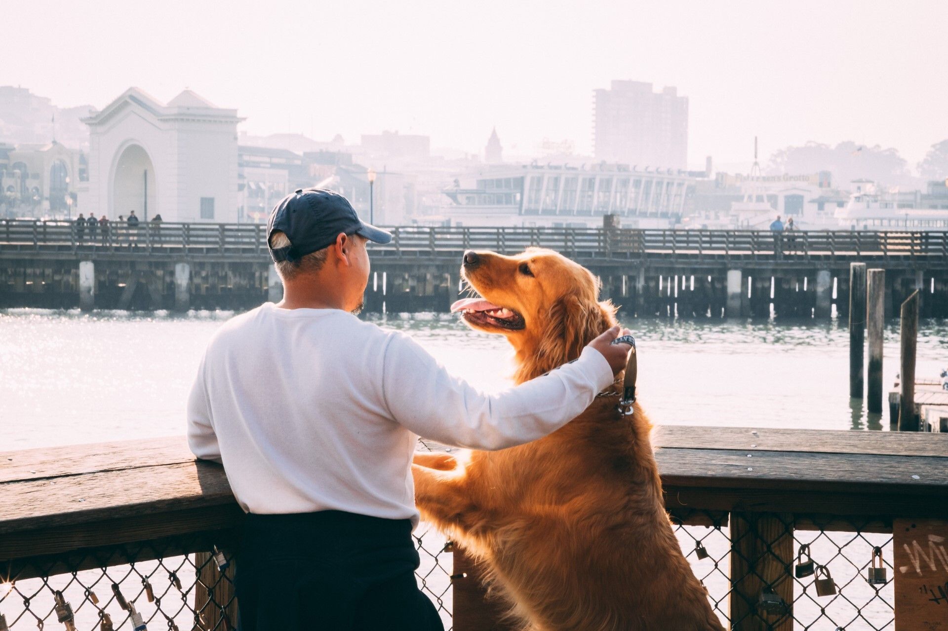 Charitable giving tips for clients’ golden years