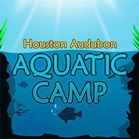 July 18-22: Aquatic Camp -- FULL