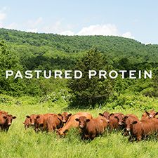 Pastured Protein