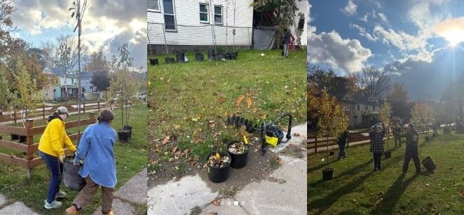 Gardening and Landscaping