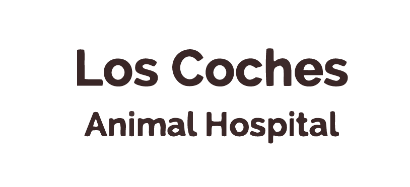 Thank you to Los Coches Animal Hospital
