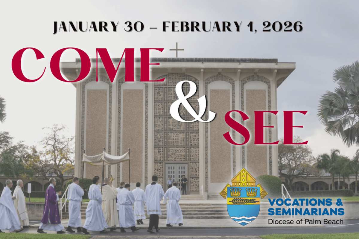 Come and see graphic