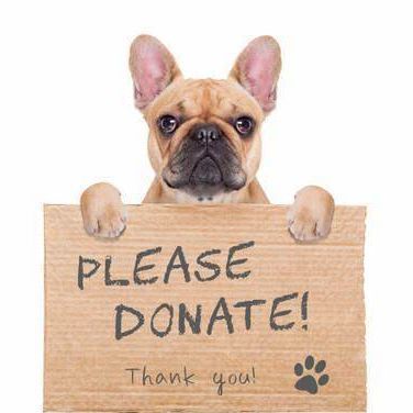 Donate Items : Donate : Animal Shelter of Northeast Nebraska
