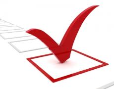 Direct Democracy: Should our democracy allow national referendums? (SPANISH) (FREE)